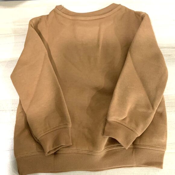 NWT!! Pumpkin Lightweight Sweatshirt Orange/Brown 2T - Picture 4 of 4